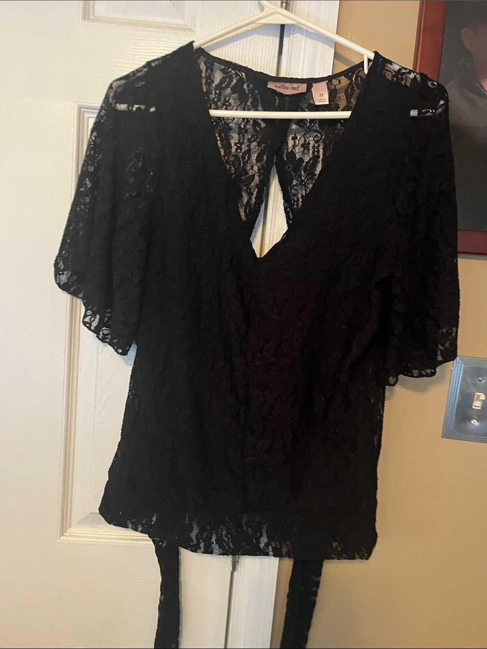 Willow root medium Black Lace V-Neck Tie-open Back Blouse